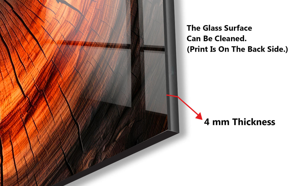 Natural Tree Ring - Glass Kitchen Backsplash-BacksplashArtworks