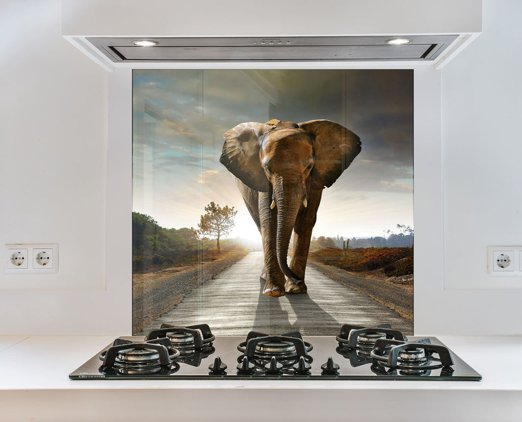 Wildlife Elephant – Glass Kitchen Backsplash-BacksplashArtworks