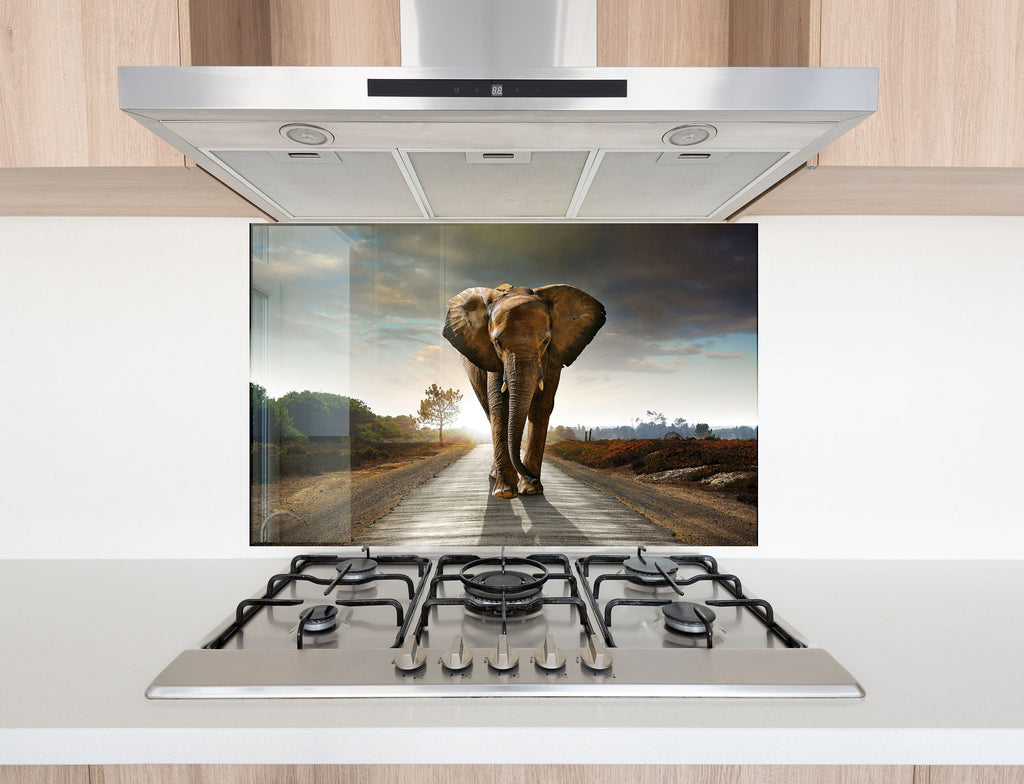 Wildlife Elephant – Glass Kitchen Backsplash-BacksplashArtworks