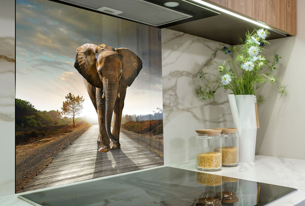Wildlife Elephant – Glass Kitchen Backsplash-BacksplashArtworks