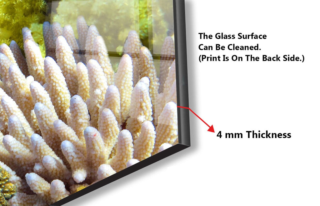 Vibrant Ocean Life Glass Kitchen Backsplash – Tropical Fish & Coral Design-BacksplashArtworks