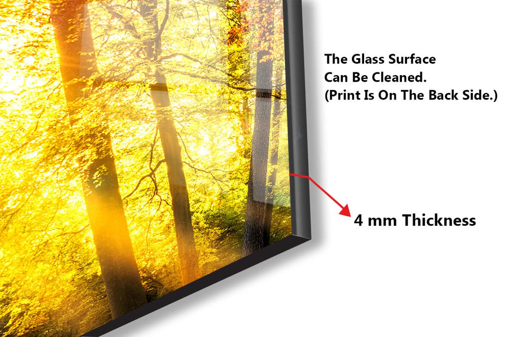 Golden Autumn Forest - Glass Kitchen Backsplash-BacksplashArtworks
