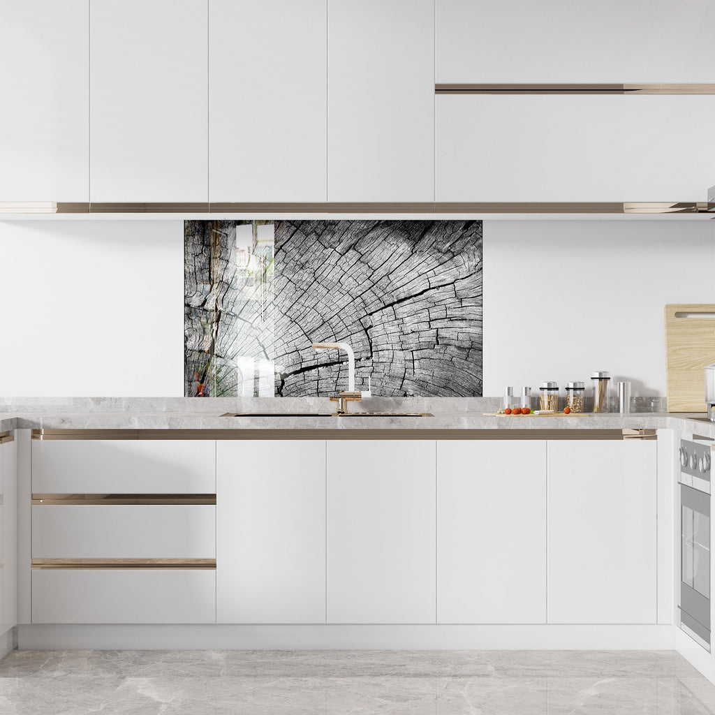 Black & White Tree Ring - Glass Kitchen Backsplash-BacksplashArtworks