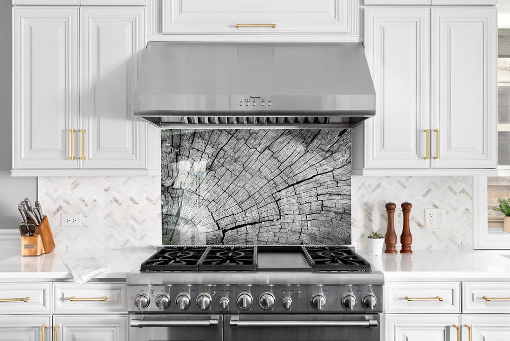 Black & White Tree Ring - Glass Kitchen Backsplash-BacksplashArtworks