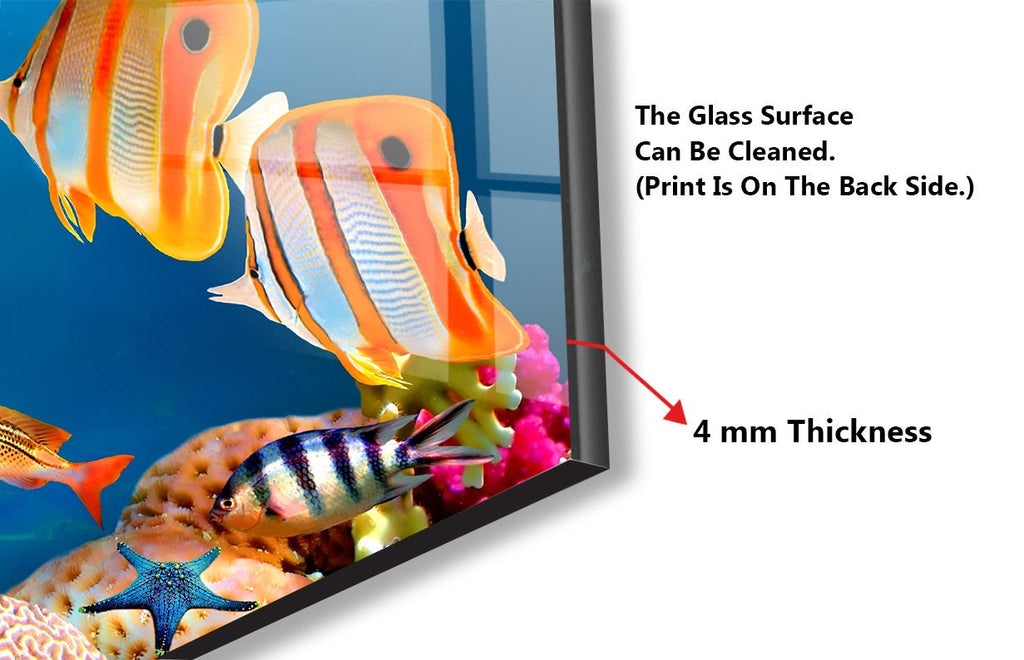Vibrant Tropical Fish Glass Kitchen Backsplash – Colorful Coral Reef Design-BacksplashArtworks