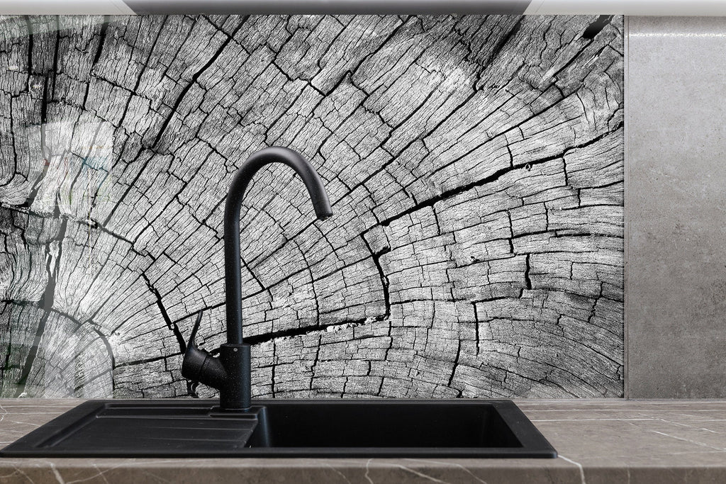 Black & White Tree Ring - Glass Kitchen Backsplash-BacksplashArtworks