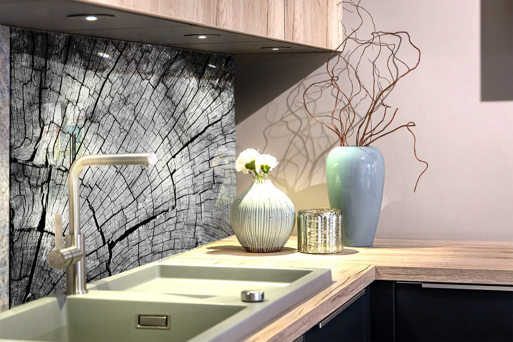 Black & White Tree Ring - Glass Kitchen Backsplash-BacksplashArtworks