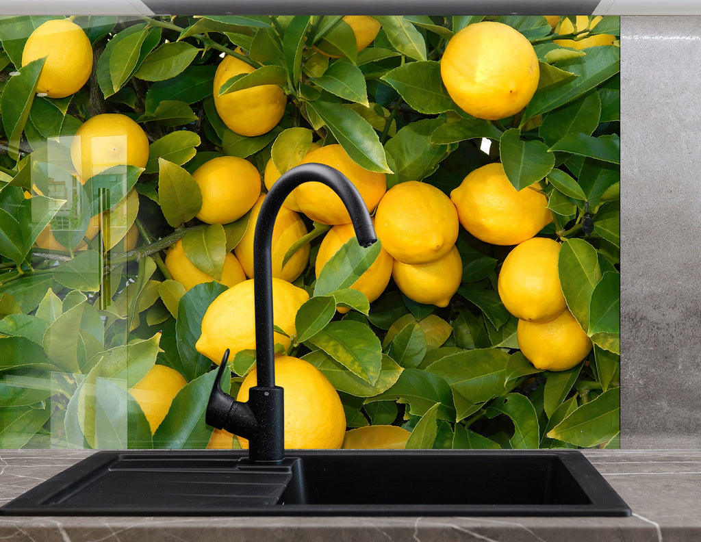 Lemon Grove Glass Kitchen Backsplash – Fresh Citrus Harvest Design-BacksplashArtworks