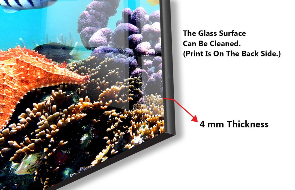 Vibrant Coral Reef Aquarium Glass Kitchen Backsplash – Fish Design-BacksplashArtworks