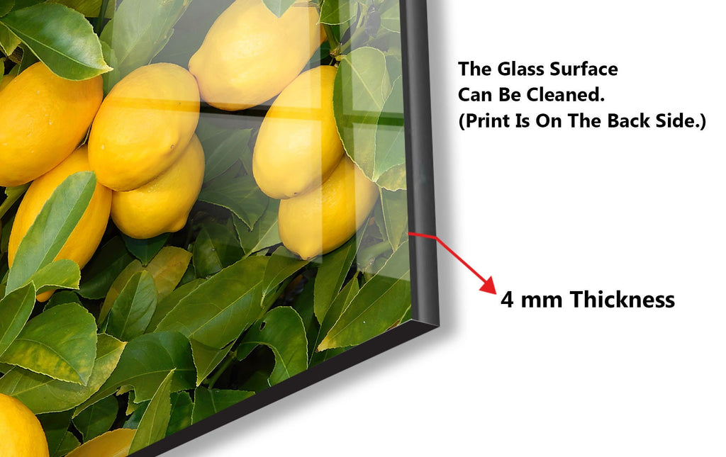 Lemon Grove Glass Kitchen Backsplash – Fresh Citrus Harvest Design-BacksplashArtworks