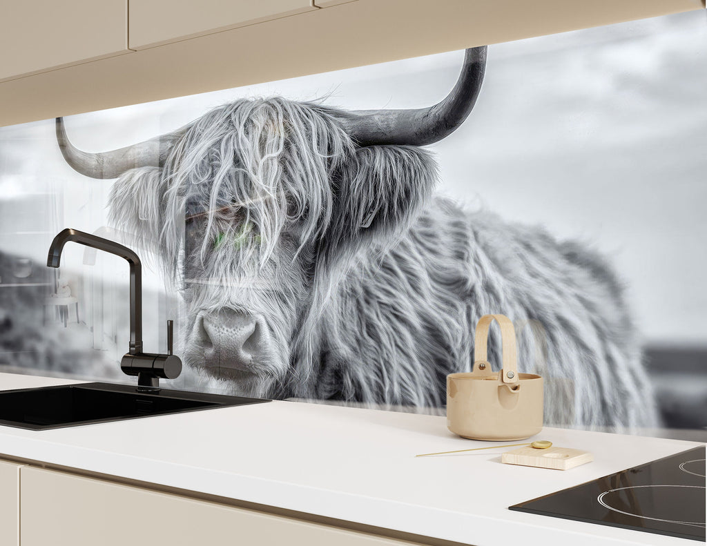 Grey Scottish Cow - Glass Kitchen Backsplash-BacksplashArtworks