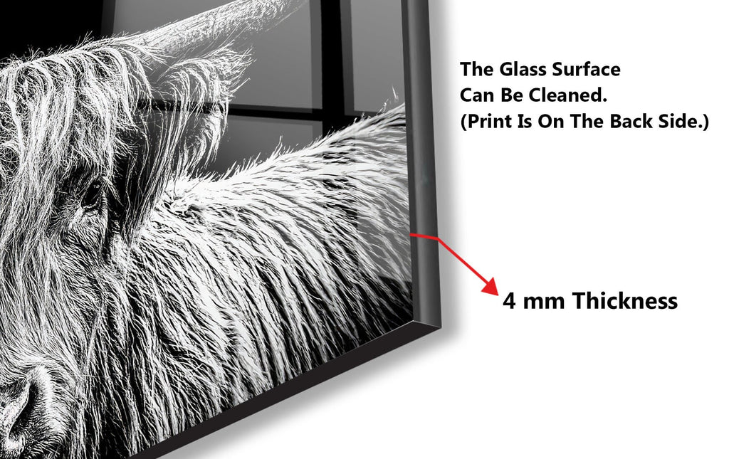 Highland Cow – Rustic Black & White - Glass Kitchen Backsplash-BacksplashArtworks