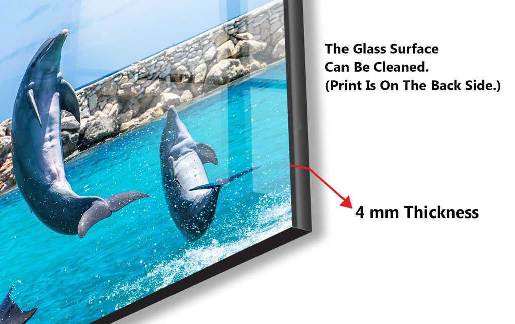 Jumping Dolphins – Glass Kitchen Backsplash-BacksplashArtworks