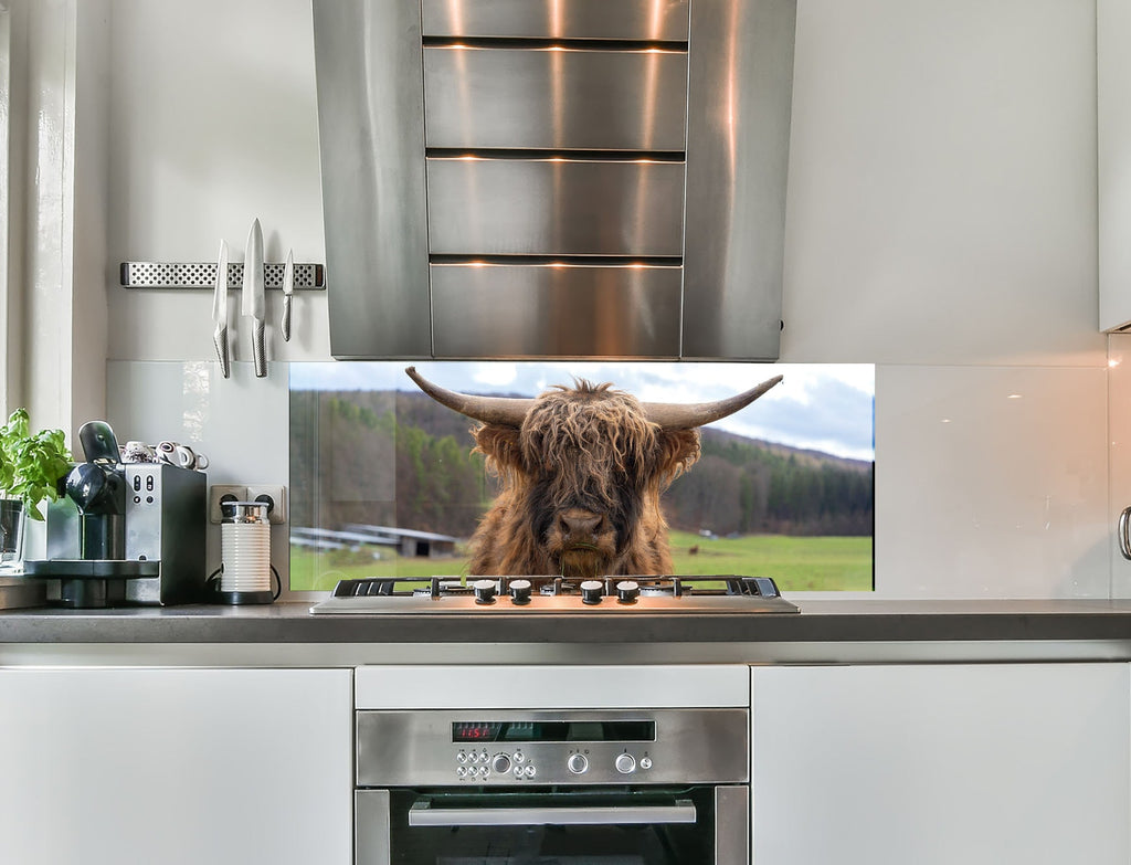 a picture of a cow in a kitchen